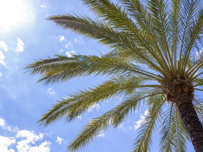 Image No.38-2 Bed Apartment for sale