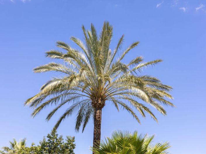 Image No.46-2 Bed Apartment for sale