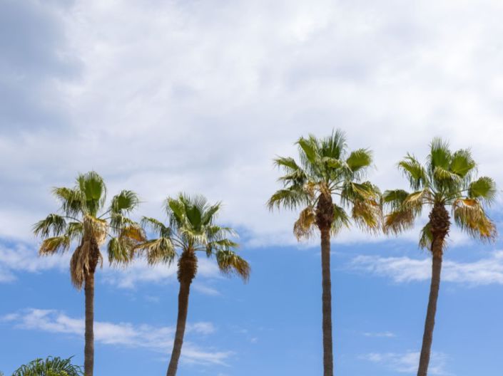 Image No.33-Villa de 6 chambres à vendre à Javea