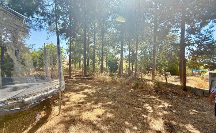 Image No.26-Maison de campagne de 3 chambres à vendre à Medina-Sidonia