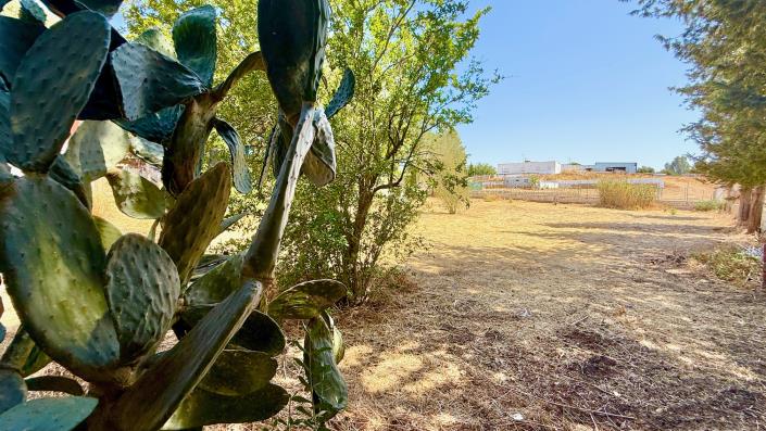 Image No.29-Maison de campagne de 3 chambres à vendre à Medina-Sidonia