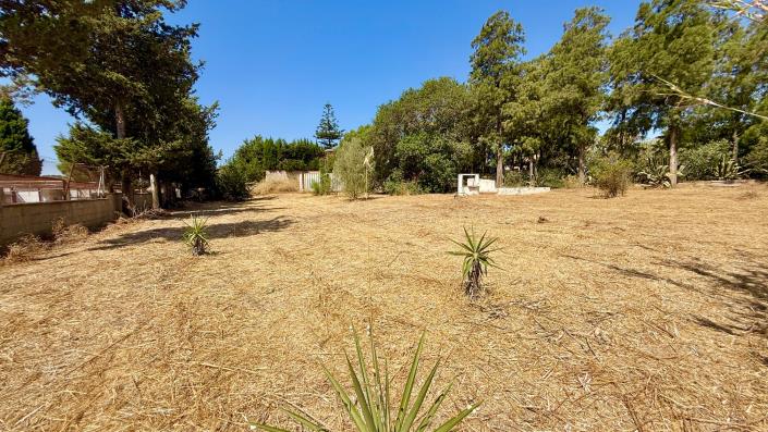 Image No.30-Maison de campagne de 3 chambres à vendre à Medina-Sidonia