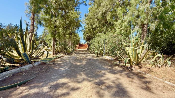 Image No.31-Maison de campagne de 3 chambres à vendre à Medina-Sidonia