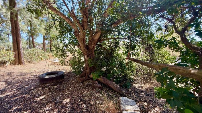 Image No.32-Maison de campagne de 3 chambres à vendre à Medina-Sidonia