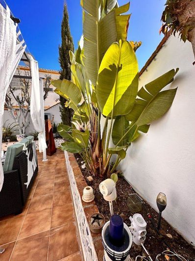 Image No.22-Propriété de 2 chambres à vendre à Torrox