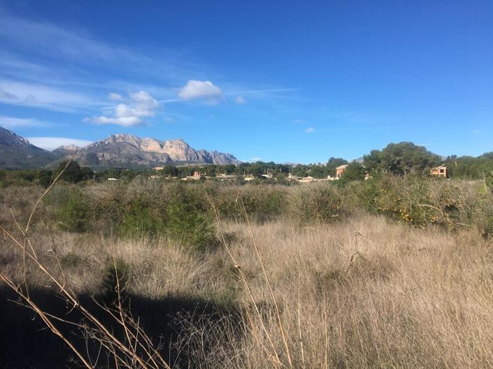 Image No.2-1 Bed Finca for sale