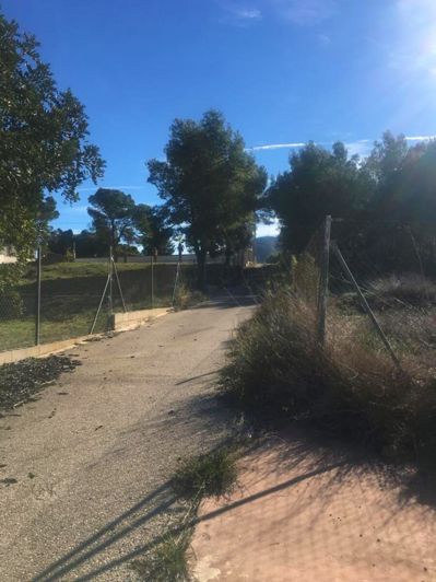 Image No.3-1 Bed Finca for sale