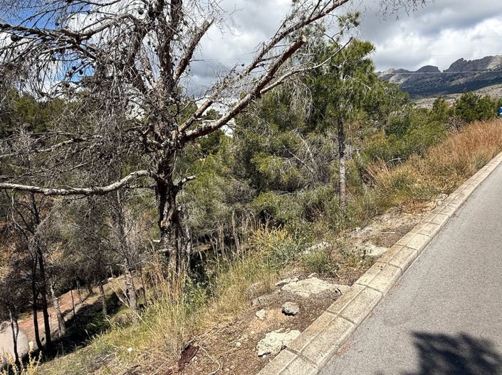 Image No.4-Terrain à vendre à Altea