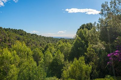 o1j2c4s327r38im1vb4flg1teg1i