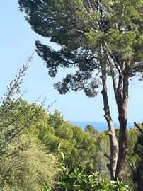 o1j2c4s32730b139a1oh5ag31h1u1k