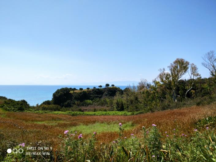 Image No.5-Terre à vendre à Skala