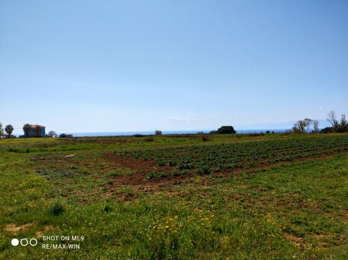 Image No.7-Terre à vendre à Skala