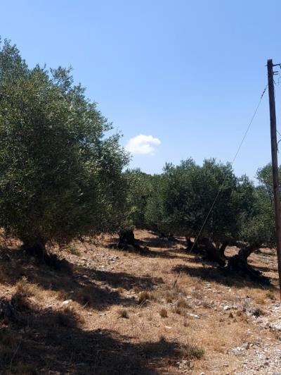 Image No.3-Terrain à vendre à Kourouklata