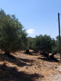 263060_p1gaqkd7dhq7i1gp41tfb116uddv4