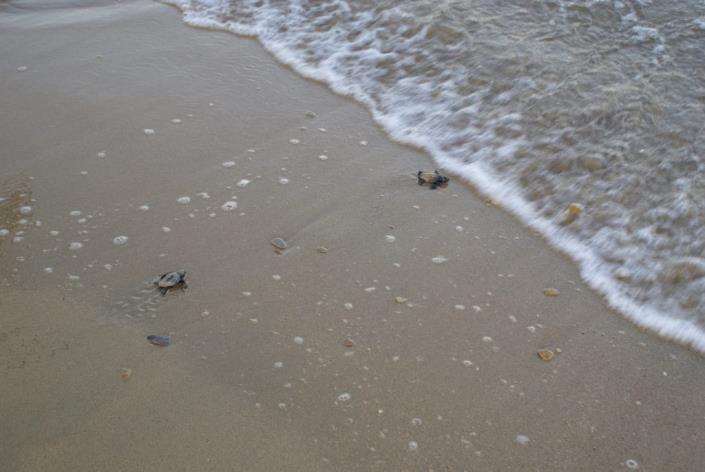 Image No.23-Un hôtel de 13 chambres à vendre à Minies