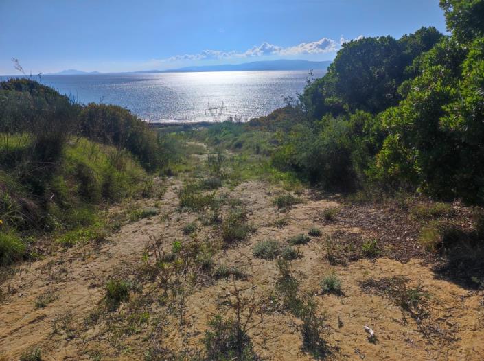 Image No.3-Land for sale