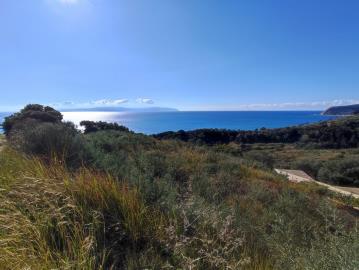 274640_p1gmsplcr72nt3u51b5hj5lpr0h