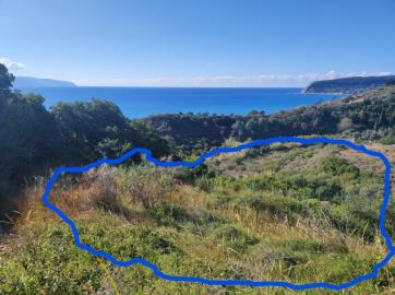 274640_p1gmsu165k6m117j714jt1o4hq854