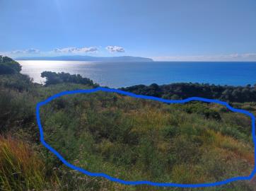 274640_p1gmsuauci1n4u1sstdvarahnv4