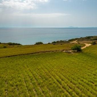 Image No.2-Terre à vendre à Skala