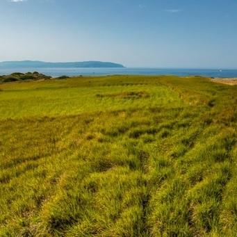 Image No.5-Terre à vendre à Skala