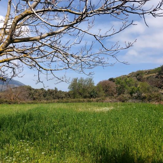 Image No.4-Maison de 2 chambres à vendre à Kardakata
