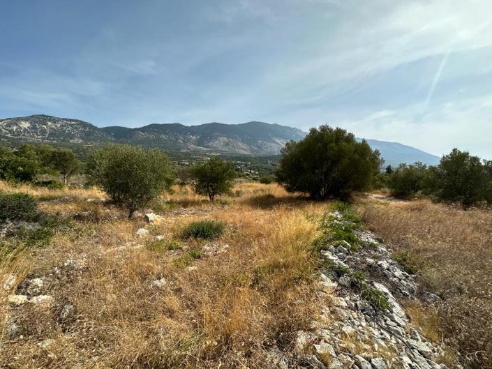 Image No.6-Land for sale