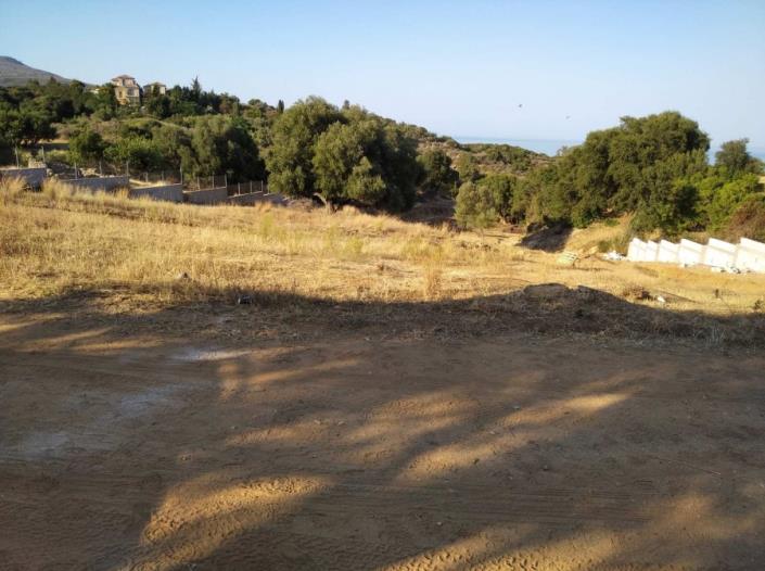 Image No.3-Terre à vendre à Skala