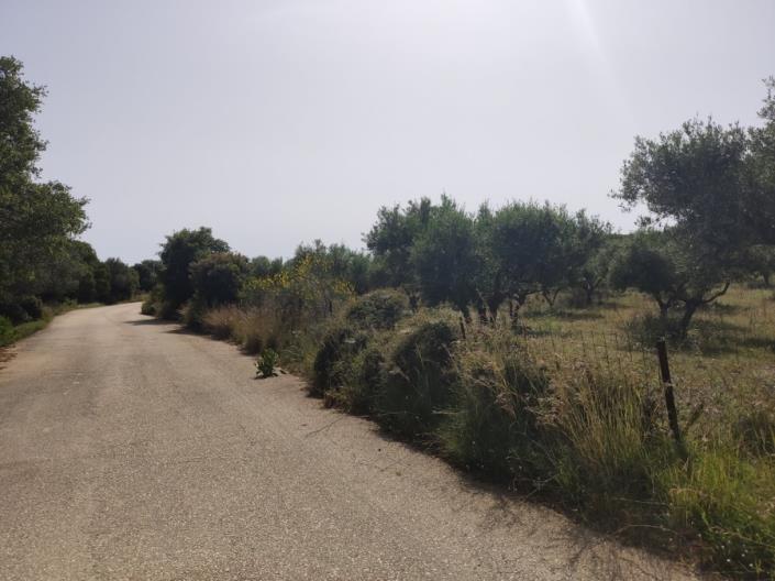 Image No.8-Terre à vendre à Chavriata