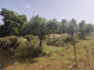 300276_p1hb5promv1aiu9bg1qegegt155pa