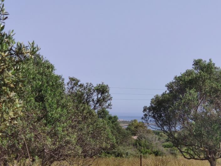 Image No.4-Terre à vendre à Chavriata