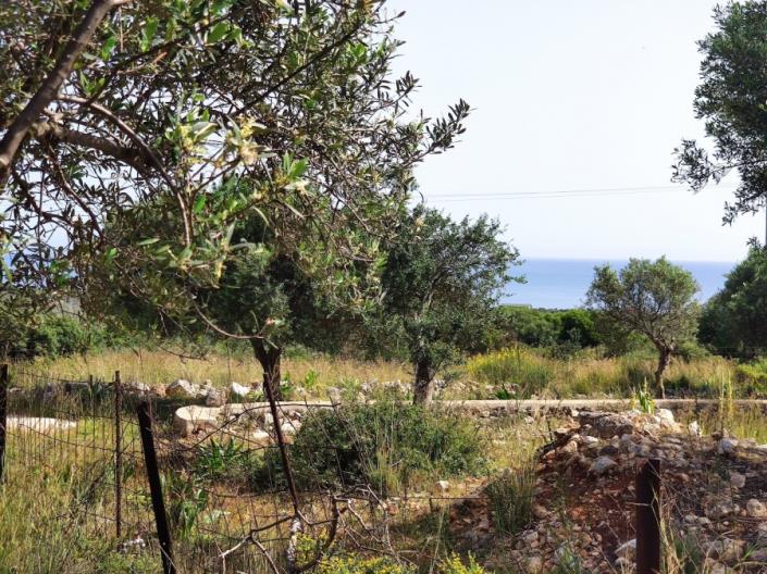 Image No.2-Terre à vendre à Chavriata