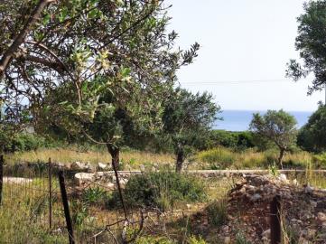 300276_p1hb5pron11hjufms8eg1qct14k1j