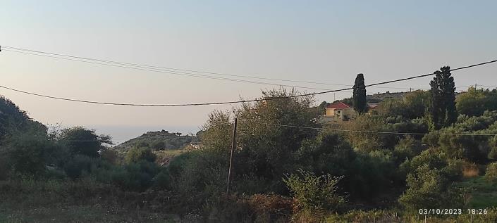 Image No.2-Terrain à vendre à Agia Thekli