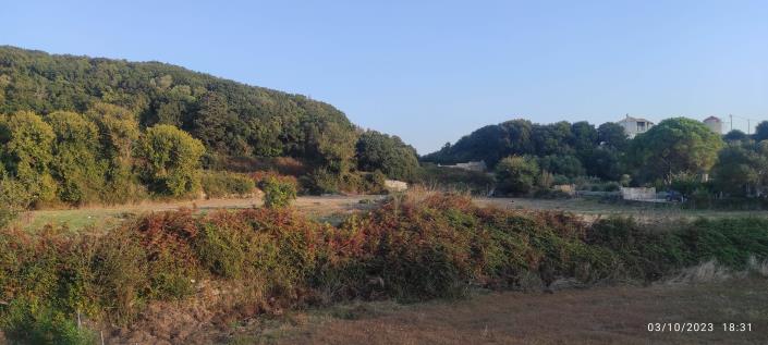 Image No.5-Terrain à vendre à Agia Thekli