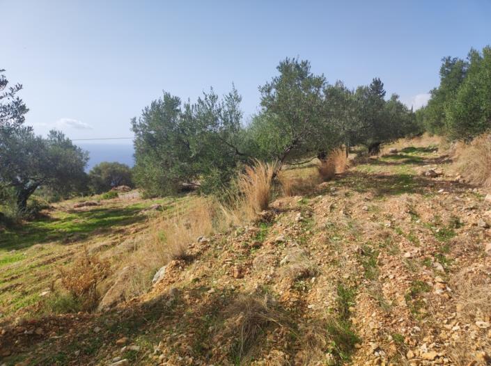 Image No.5-Plot for sale