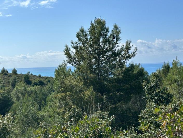 Image No.3-Terrain à vendre à Lassi