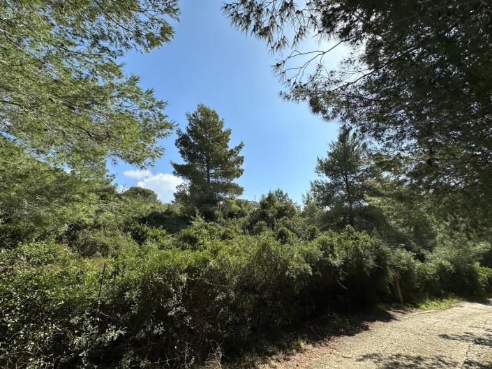 Image No.5-Terrain à vendre à Lassi