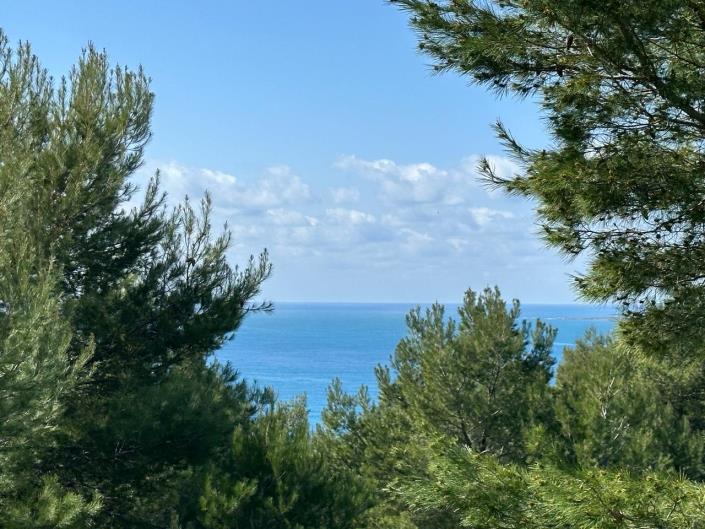 Image No.2-Terrain à vendre à Lassi