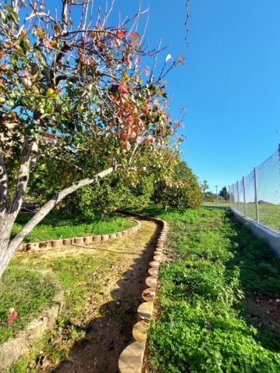 Image No.13-5 Bed Villa / Detached for sale