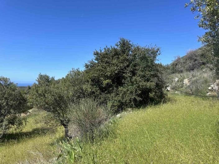 Image No.2-Plot for sale