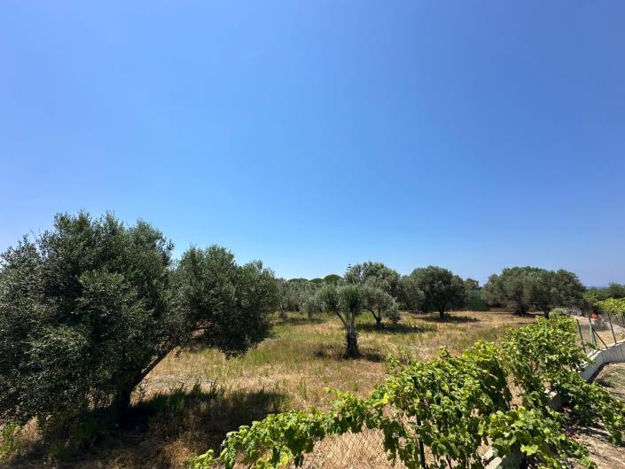 Image No.4-Terre à vendre à Svoronata