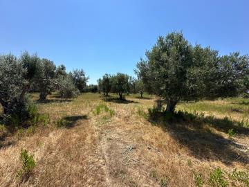 7d8c9dd3-4ad2-4050-b67e-4d4440a3b59d