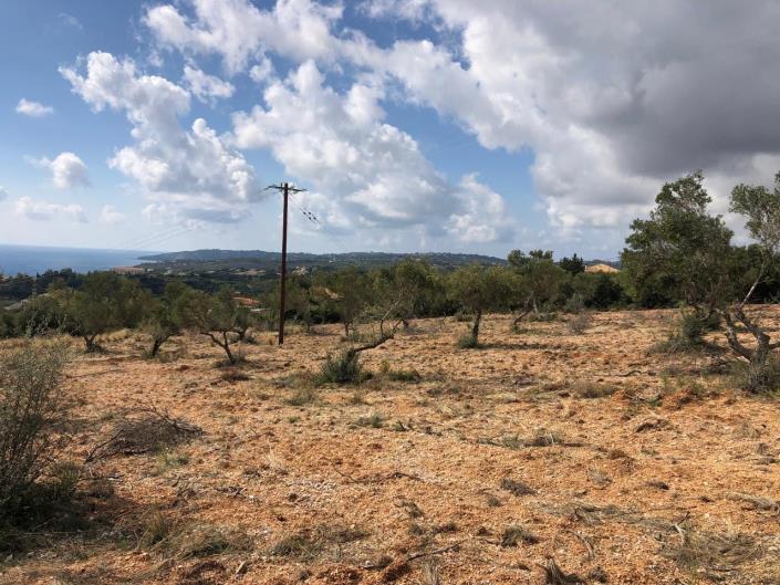 Image No.2-Terre à vendre à Mousata