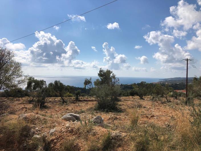 Image No.4-Terre à vendre à Mousata