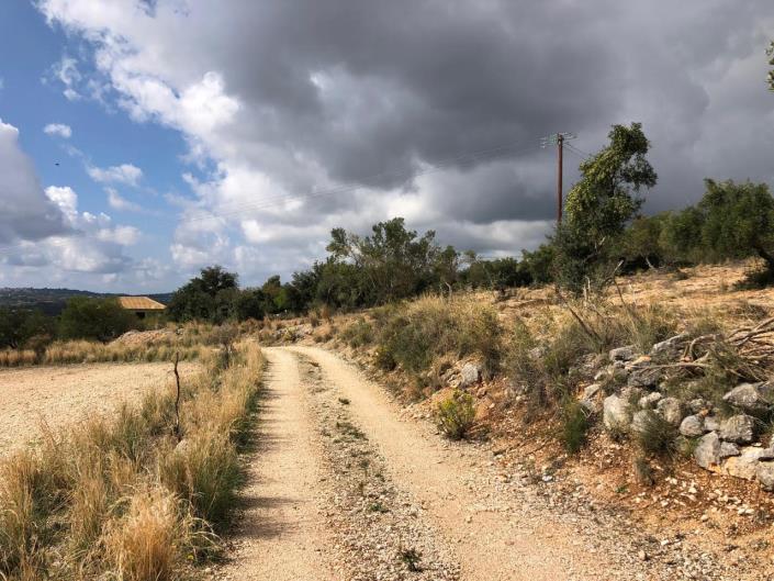 Image No.3-Terre à vendre à Mousata