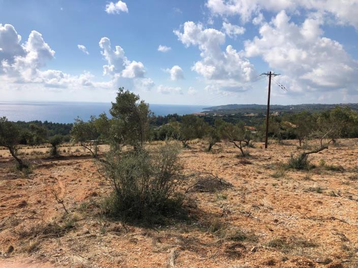 Image No.5-Terre à vendre à Mousata