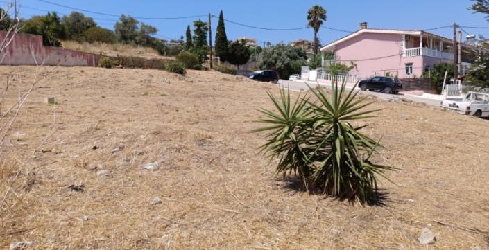 Image No.11-Terrain à vendre à Argostoli