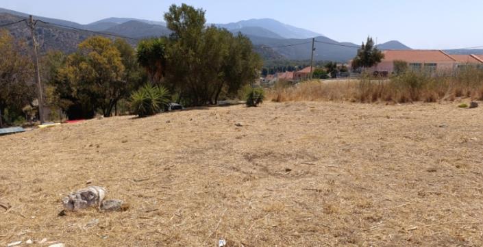 Image No.15-Terrain à vendre à Argostoli
