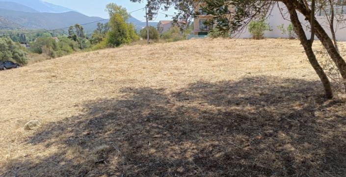 Image No.8-Plot for sale